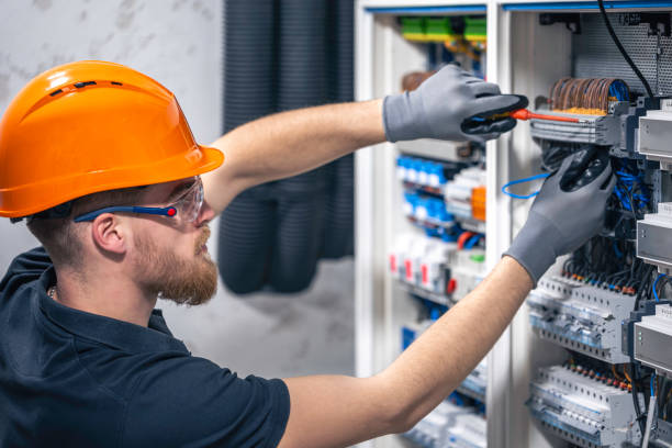 Best Electric Panel Repair  in Wolf Point, MT